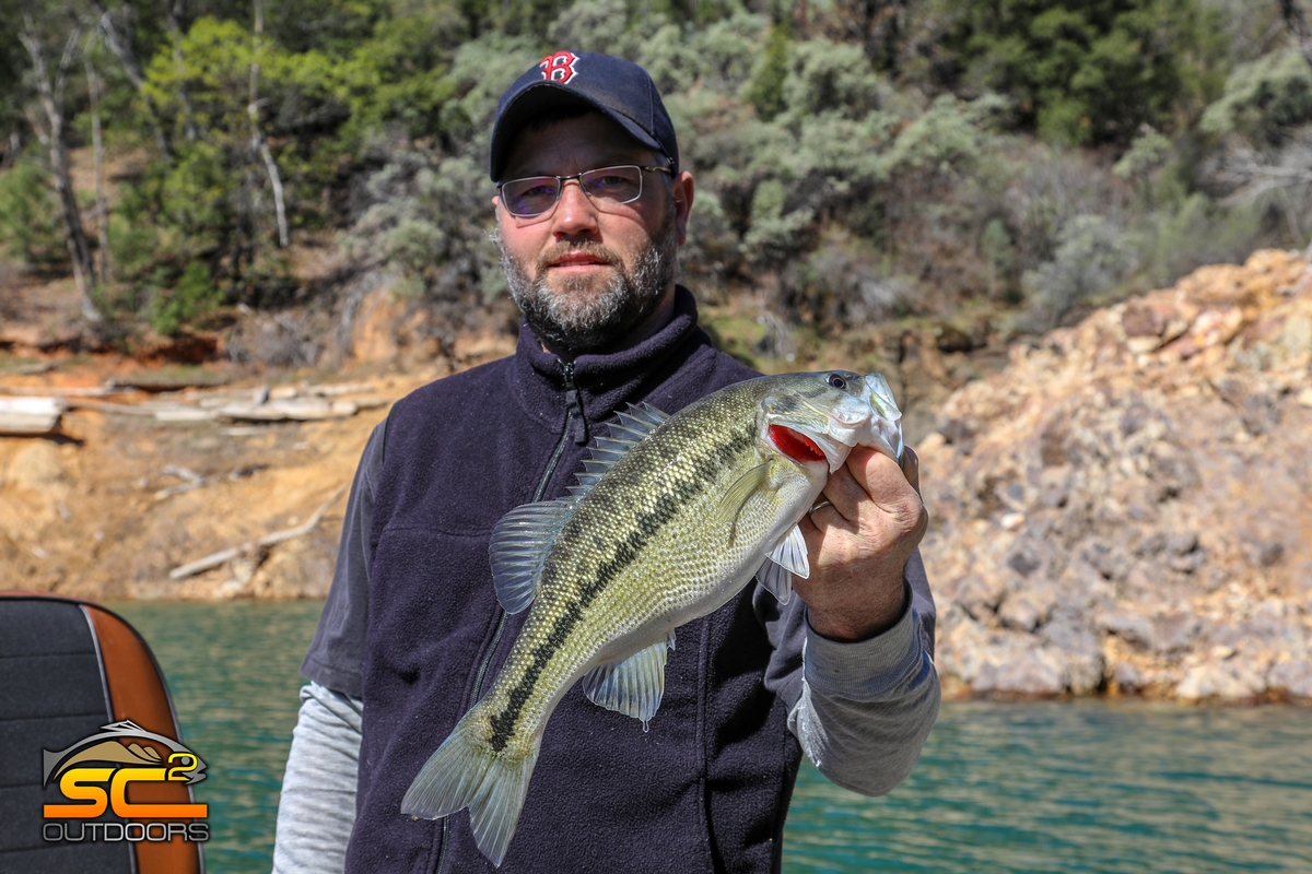 California Spotted Bass