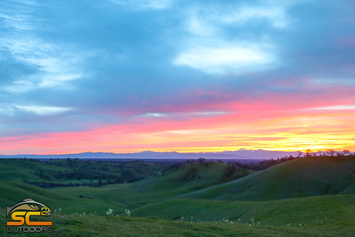 California Sunrise In Hog Country