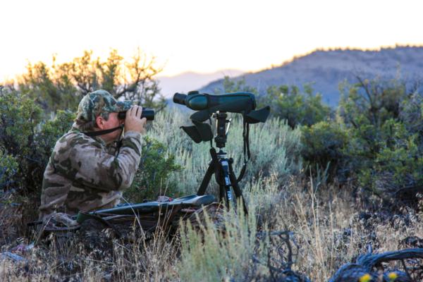 Private and Public Land California Pronghorn Hunting