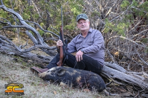 California Wild Pig Doug N. January 2019