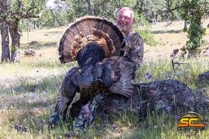 Brian's 2021 California Rio Grande Gobbler