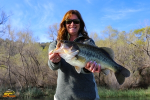 Lake Fishing (Shasta, Trinity, Clear Lake)