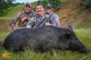 Northern California Wild Hog Hunting with SC2 Outdoors | Brad H. Shasta County, California